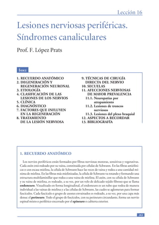 263
Lesiones nerviosas periféricas.
Síndromes canaliculares
Prof. F. López Prats
ÍNDICE
Lección 16
1. RECUERDO ANATÓMICO
2. DEGENERACIÓN Y
REGENERACIÓN NEURONAL
3. ETIOLOGÍA
4. CLASIFICACIÓN DE LAS
LESIONES DE LOS NERVIOS
5. CLÍNICA
6. DIAGNÓSTICO
7. FACTORES QUE INFLUYEN
EN LA REGENERACIÓN
8. TRATAMIENTO
DE LA LESIÓN NERVIOSA
9. TÉCNICAS DE CIRUGÍA
DIRECTA DEL NERVIO
10. SECUELAS
11. AFECCIONES NERVIOSAS
DE MAYOR PREVALENCIA
11.1. Neuropatías por
atrapamiento
11.2. Lesiones de troncos
nerviosos
11.3. Lesiones del plexo braquial
12. ASPECTOS A RECORDAR
13. BIBLIOGRAFÍA
1. RECUERDO ANATÓMICO
Los nervios periféricos están formados por fibras nerviosas motoras, sensitivas y vegetativas.
Cada axón está rodeado por su vaina, constituida por células de Schwann. En las fibras amielíni-
cas o con escasa mielina, la célula de Schwann hace las veces de vaina y rodea a una cantidad mí-
nima de mielina. En las fibras más mielinizadas, la célula de Schwann va rotando y formando una
estructura multilaminillar que rodea a una vaina de mielina. El axón, con su célula de Schwann
y su vaina de mielina, es rodeado, a su vez, por un velo de delicado tejido fibroso que se llama
endoneuro. Visualizado en forma longitudinal, el endoneuro es un tubo que rodea de manera
individual a las vainas de mielina y a las células de Schwann, las cuales se aglomeran para formar
fascículos. Cada fascículo o grupo de axones envainados es rodeado, a su vez, por una capa más
densa: el perineuro. Todo el grupo de fascículos, con su perineuro circundante, forma un nervio
espinal mixto o periférico encerrado por el epineuro o cubierta exterior.
 