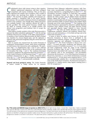 early Cambrian of eastern Newfoundland.pdfpdf | PDF