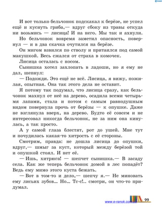 И вот только бельчонок подскакал к берёзе, не успел
ещё и куснуть гриба,— вдруг сбоку из травы откуда
ни возьмись — лисица! И на него. Мы так и ахнули.
Но бельчонок вовремя заметил опасность, повер-
нул  — и в два скачка очутился на берёзе.
Он мигом взвился по стволу и притаился под самой
макушкой. Весь сжался от страха в комочек.
Лисица осталась с носом.
Сынишка хотел захлопать в ладоши, но я ему не
дал, шепнул:
— Подожди. Это ещё не всё. Лисица, я вижу, пожи-
лая, опытная. Она так этого дела не оставит.
Я потому так подумал, что лисица сразу, как бель-
чонок махнул от неё на дерево, осадила всеми четырь-
мя лапами, стала и потом с самым равнодушным
видом повернула прочь от берёзы — к опушке. Даже
не взглянула вверх, на дерево. Будто её совсем и не
интересовал никогда бельчонок, не за ним она кину-
лась, а так просто.
А у самой глаза блестят, рот до ушей. Мне тут
и  почудилась какая-то хитрость с её стороны.
Смотрим, правда: не дошла лисица до опушки,
вдруг,— шмыг за куст, который между берёзой той
и  опушкой стоял. И нет её.
— Ишь, хитрюга!  — шепчет сынишка.— В засаду
села. Как же теперь бельчонок домой в лес попадёт?
Ведь ему мимо этого куста бежать.
— Вот в том-то и дело,— шепчу я.— Не миновать
ему лисьих зубов… Но… Тс-с!.. смотри, он что-то при-
думал.
99www.e-ranok.com.ua
 
