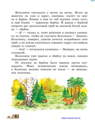 Бельчонок спускался с ветки на ветку. Исчез на
минутку из глаз и вдруг, смотрим, скачет по зем-
ле к  берёзе. Ближе к нам от той опушки стоял куст,
и ещё ближе — одинокая берёза. И рядом с берёзой
открыто рос малоголовый гриб на высокой белой нож-
ке — обабок.
— А!  — сказал я, тоже шёпотом и потянул сыниш-
ку за ёлочки, чтобы не спугнуть бельчонка.— Знаешь,
бельчонку, наверно, ужасно хочется попробовать этот
гриб, а на землю спуститься страшно: вдруг кто-нибудь
увидит и схватит.
— Ага! — согласился сынишка.— Наверно, он очень
голодный.
Бельчонок уже прыгал к обабку по земле, смешно
подкидывая задом.
От опушки до берёзы было верных шагов пят­
надцать. Моих человеческих шагов пятнадцать,
а  беличьих мелких скачков по земле — не меньше,
как полсотни.
98 www.e-ranok.com.ua
 