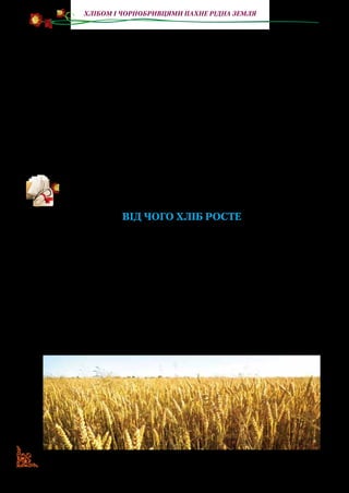 14
Хлібом і чорнобривцями пахне рідна земля
зовсім не треба. Та ось люди осіли на одному місці, починали
сіяти хліб, розводити городину. Рослинна їжа була прісною,
несмачною: з’являється сіль — приправа до їжі.
Хліб — усьому голова. Хліб… Таке м’яке, пахуче, тепле слово,
а ще й яке таємниче! Є воно лише в слов’янських мовах.
Як давно печуть хліб? 7 тисяч років тому люди вже пек­ли в по-
пелі коржі з розтовченого в ступі зерна. У Стародавніх Єгип-
ті, Греції та Римі вже користувалися дріжджами, які робили
хліб пухким і м’яким. У Римі, наприклад, було 300 пекарень,
де випікали хліб для багатих і для бідних. У середні віки цим
займалися монастирі, а пізніше спеціальні організації пека-
рів — цехи. З того часу змінювалася лише техніка випікання
хліба (За Аллою Коваль).
Прочитайте оповідання Юрія Ярмиша. У якому реченні пере-
дана основна думка оповідання?
ВІД ЧОГО ХЛІБ РОСТЕ
Біля села — поле. Широке-широке, оком не окинеш.
Дивилися дітлахи вранці, як люди орють його.
Дивились опівдні — як засівають добірним зерном.
А ввечері, коли з поля додому йшли натомлені люди, спи­
тали в них:
— Навіщо від зорі до зорі працювати? Адже на землі й тра­
вичка зелена й квіти гарні самі ростуть.
Люди всміхнулись і так відповіли дітям:
— Тому ми весь день у полі робили, бо одну мудрість зна­
ємо: Не земля родить хліб, а руки.
 