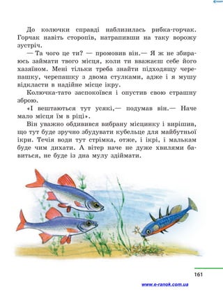 До колючки справді наблизилась рибка-горчак.
Горчак навіть сторопів, натрапивши на таку ворожу
зустріч.
— Та чого це ти?  — промовив він.— Я ж не збира-
юсь займати твого місця, коли ти вважаєш себе його
хазяїном. Мені тільки треба знайти підходящу чере-
пашку, черепашку з  двома стулками, адже і  я мушу
відкласти в  надійне місце ікру.
Колючка-тато заспокоївся і  опустив свою страшну
зброю.
«І вештаються тут усякі,— подумав він.— Наче
мало місця їм в  ріці».
Він уважно обдивився вибрану місцинку і  вирішив,
що тут буде зручно збудувати кубельце для майбутньої
ікри. Течія води тут стрімка, отже, і  ікрі, і  малькам
буде чим дихати. А вітер наче не дуже хвилями ба-
виться, не буде із дна мулу здіймати.
161
www.e-ranok.com.ua
 