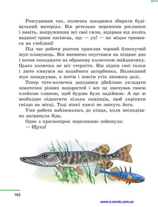 Розсудивши так, колючка заходився збирати буді-
вельний матеріал. Він ретельно переносив рослинки
і навіть, напруживши всі свої сили, відірвав від якоїсь
водяної трави пагінець, що  — ух!  — як міцно тримав-
ся на стеблині!
Під час роботи раптом приплив чорний блискучий
жук-плавунець. Він впевнено опустився на піщане дно
і почав походжати на обраному колючкою майданчику.
Цього колючка не міг стерпіти. Він підвів свої голки
і  люто кинувся на нахабного загарбника. Наляканий
жук позадкував, а  потім і  зовсім утік якомога далі.
Тепер тато-колючка заходився дбайливо укладати
шматочки різних водоростей і  все це змочував своєю
клейкою слиною, щоб будова була надійною. А ще ж
необхідно підкотити кілька камінців, щоб укріпити
гніздо на місці. Тоді ніякі хвилі не знесуть його.
Уже робота наближалась до кінця, коли несподіва-
но нагрянула біда.
Одна з  краснопірок перелякано зойкнула:
— Щука!
162
www.e-ranok.com.ua
 