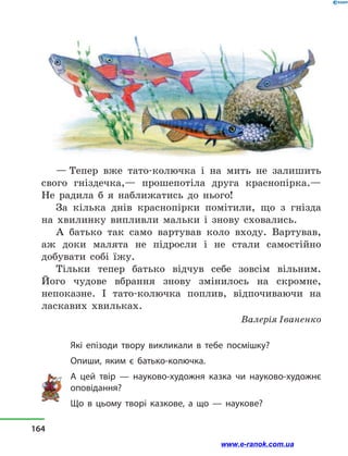 — Тепер вже тато-колючка і  на мить не залишить
свого гніздечка,— прошепотіла друга краснопірка.—
Не радила б я наближатись до нього!
За кілька днів краснопірки помітили, що з  гнізда
на хвилинку випливли мальки і  знову сховались.
А батько так само вартував коло входу. Вартував,
аж доки малята не підросли і  не стали самостійно
добувати собі їжу.
Тільки тепер батько відчув себе зовсім вільним.
Його чудове вбрання знову змінилось на скромне,
непоказне. І тато-колючка поплив, відпочиваючи на
ласкавих хвильках.
Валерія Іваненко
Які епізоди твору викликали в  тебе посмішку?
Опиши, яким є батько-колючка.
А цей твір  — науково-художня казка чи науково-художнє
оповідання?
Що в  цьому творі казкове, а  що  — наукове?
164
www.e-ranok.com.ua
 