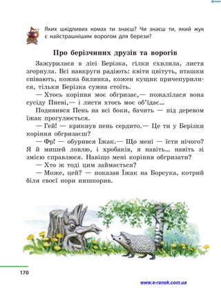 Яких шкідливих комах ти знаєш? Чи знаєш ти, який жук
є  найстрашнішим ворогом для берези?
Про берізчиних друзів та ворогів
Зажурилася в  лісі Берізка, гілки схилила, листя
згорнула. Всі навкруги радіють: квіти цвітуть, пташки
співають, кожна билинка, кожен кущик причепурили-
ся, тільки Берізка сумна стоїть.
— Хтось коріння моє обгризає,— пожалілася вона
сусіду Пневі,— і  листя хтось моє об’їдає…
Подивився Пень на всі боки, бачить  — під деревом
їжак прогулюється.
— Гей!  — крикнув пень сердито.— Це ти у  Берізки
коріння обгризаєш?
— Фр!  — обурився Їжак.— Що мені  — їсти нічого?
Я й  мишей ловлю, і  хробаків, я навіть… навіть зі
змією справлюся. Навіщо мені коріння обгризати?
— Хто ж тоді цим займається?
— Може, цей?  — показав Їжак на Борсука, котрий
біля своєї нори нишпорив.
170
www.e-ranok.com.ua
 