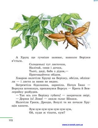 А Хрущ ще гучніше зазиває, навколо Берізки
в’ється.
Солоденькі тут листочки,
Налітай, сини і  дочки,
Тьоті, дяді, баба з  дідом,—
Пригощайтеся обідом.
Хмарою налетіли Хрущі на Берізку, обсіли, обліпи-
ли  — і  листя за ними не видно.
Затремтіла бідолашна, зарипіла. Почув Їжак  —
Борсука штовхнув, прокинувся Борсук — Крота й Зем-
лерийку розбудив.
— Так ось хто Берізку губить!  — закричали звірі.
— Держи їх! Лови!  — зняли галас Шпаки.
Налетіли Граки, Дрозди, Зозулі та як почали Хру-
щів хапати.
Зум-зум-зум-зум-зум-зум-зум,
Ой, куди ж тікати, кум?
172
www.e-ranok.com.ua
 