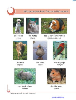 218
Wörterverzeichnis Deutsch-Ukrainisch
Wörterverzeichnis Deutsch-Ukrainisch
der Hund die Katze das Meerschweinchen
собака кішка морська свинка
die Kuh die Ente der Papagei
корова качка папуга
das Kaninchen der Hamster
кролик хом’як
www.e-ranok.com.ua
 