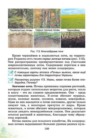 Подзолистые почвы Серые лесные почвы Чернозёмы
Рис. 113. Многообразие почв
Кроме чернозёмов и подзолистых почв, на террито­
рии Украины есть также серые лесные почвы (рис. 113).
Они распространены преимущественно под участками
широколиственных лесов. Содержание перегноя в них
незначительно, поэтому они менее плодородны.
С помощью карты атласа «Почвы» выясни, какие ещё
I-— почвы характерны для территории Украины.
Ч0&' Рассмотри рисунок 113. Укажи, какая почва более пло-
— дородна. Почему?
Значение почв. Почвы пронизаны корнями растений,
которым отдают питательные вещества для роста, тепло
и влагу - это их главное предназначение. Они - среда
существования животных. В почве обитают муравьи,
жуки, полевые мыши, суслики, хомяки, землеройки.
Одни из них находятся в почве постоянно, другие только
зимуют там, а некоторые прячутся от жары. Кроме
животных, в почве обитают микроорганизмы, которых
нельзя увидеть невооружённым глазом. Они разлагают
остатки растений и животных, благодаря чему образу­
ется перегной.
Почвы важны для сельского хозяйства. На плодород­
ных почвах выращивают большие урожаи разных куль­
130
 