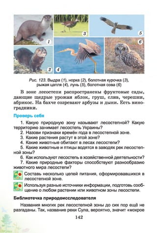 Рис. 123. Выдра (1), норка (2), болотная курочка (3),
рыжая цапля (4), лунь (5), болотная сова (6)
В зоне лесостепи распространены фруктовые сады,
дающие щедрые урожаи яблок, груш, слив, черешни,
абрикос. На бахче созревают арбузы и дыни. Есть вино­
градники.
Проверь себя
1. Какую природную зону называют лесостепной? Какую
территорию занимает лесостепь Украины?
2. Назови признаки времён года в лесостепной зоне.
3. Какие растения растут в этой зоне?
4. Какие животные обитают в лесах лесостепи?
5. Какие животные и птицы водятся в заводях рек лесостеп­
ной зоны?
6. Как используют лесостепь в хозяйственной деятельности?
7. Какие природные факторы способствуют разнообразию
животного мира лесостепи?
Составь несколько цепей питания, сформировавшихся в
лесостепной зоне.
Используя разные источники информации, подготовь сооб­
щение о любом растении или животном зоны лесостепи.
Библиотечка природоисследователя
Названия многих рек лесостепной зоны до сих пор ещё не
разгаданы. Так, название реки Сула, вероятно, значит «мокрое
142
 