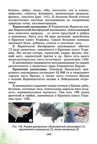 бизоны, зебры, ламы, зебу, антилопы гну и канны,
муфлоны, страусы, фламинго, венценосные журавли,
фазаны, павлины (рис. 141). В Аскании-Новой учёные
осуществляют научные исследования по сохранению
природы степи, акклиматизации.
Карпатский заповедник. В Украинских Карпатах соз­
дан Карпатский биосферный заповедник, охватывающий
весь комплекс природы - от лугов предгорий и дубрав
к вершинам. Здесь есть 64 вида растений, занесённых
в Красную книгу Украины. Самую большую площадь
занимают буки, дубовые, еловые и пихтовые леса.
В Карпатском биосферном заповеднике обитает
72 вида животных, занесённых в Красную книгу Укра­
ины. Это малая кутора, горностай, выдра, филин, чёр­
ный аист, карпатский тритон и др. Здесь есть много
видов рукокрылых, часть из которых - редкие (рис. 142).
В заповеднике занимаются исследованиями по охране
растительного и животного мира Украинских Карпат.
Крымский заповедник. Площадь Крымского при­
родного заповедника составляет 42 ООО га и охватывает
горную часть Крыма, а также часть степного Крыма
с водами Каркинитского залива и Лебедиными остро­
вами.
В заповеднике охраняют самые ценные в Крыму дубы,
буковые, сосновые леса, уникальные заросли тиса ягод­
ного, можжевельника высокого. Там есть 100 видов
растений и грибов, занесённых в Красную книгу Укра­
ины (рис. 143).
Рис. 142. Редкие рукокрылые: обыкновенный длиннокрыл (1),
европейская широкоушка (2), малая вечерница (3)
160
 