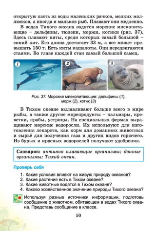 открытую пасть из воды маленьких рачков, мелких мол­
люсков, а иногда и мальков рыб. Плавают они медленно.
В водах Тихого океана водятся морские млекопита­
ющие - дельфины, тюлени, моржи, котики (рис. 37).
Здесь плавают киты, среди которых самый большой -
синий кит. Его длина достигает 33 м, а вес может пре­
вышать 150 т. Есть киты кашалоты. Они передвигаются
стаями. Во главе каждой стаи самый большой самец.
Рис. 37. Морские млекопитающие: дельфины (1),
морж (2), котик (3)
В Тихом океане вылавливают больше всего в мире
рыбы, а также другие морепродукты - кальмары, кре­
ветки, крабы, устрицы. На специальных фермах выра­
щивают морские водоросли. Их используют для изго­
товления лекарств, как корм для домашних животных
и сырьё для получения газа и других видов горючего.
Из бурых и красных водорослей получают удобрения.
Словарик: акт ивно плавающие организмы; донные
организмы; Тихий океан.
Проверь себя
1. Какие условия влияют на живую природу океанов?
2. Какие растения есть в Тихом океане?
3. Какие животные водятся в Тихом океане?
4. Каково хозяйственное значение природы Тихого океана?
Используя разные источники информации, подготовь
сообщение о животном, обитающем в водах Тихого океа­
на. Представь сообщение в классе.
50
 