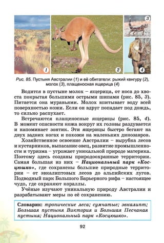 Рис. 85. Пустыня Австралии (7) и её обитатели: рыжий кенгуру (2),
молох (3), плащеносная ящерица (4)
Водится в пустыне молох - ящерица, от носа до хво­
ста покрытая большими острыми шипами (рис. 85, 3).
Питается она муравьями. Молох впитывает воду всей
поверхностью кожи. Если он вдруг попадает под дождь,
то сильно распухает.
Встречаются плащеносные ящерицы (рис. 85, 4).
В момент опасности кожа вокруг их головы раздувается
и напоминает зонтик. Эти ящерицы быстро бегают на
двух задних ногах и похожи на маленьких динозавров.
Хозяйственное освоение Австралии - вырубка лесов
и кустарников, выпасание овец, развитие промышленно­
сти и туризма - угрожает уникальной природе материка.
Поэтому здесь созданы природоохранные территории.
Самая большая из них - Н ациональны й парк «Кос-
цю ш ко», где сохранены большие природные террито­
рии - от эвкалиптовых лесов до альпийских лугов.
Подводный парк Большого Барьерного рифа - настоящее
чудо, где охраняют кораллы.
Учёные изучают уникальную природу Австралии и
разрабатывают меры по её сохранению.
Словарик: тропические леса; сумчатые; эвкалипт ;
Больш ая пуст ыня Виктория и Большая П есчаная
пустыня; Национальный парк «Косцюшко».
92
 