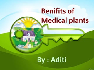 Benifits of
Medical plants
By : Aditi
 