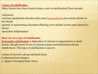 Causes of calcification
Many factors have been found to play a role in calcification,These include:
•infections
•calcium metabolism disorders that cause hypercalcemia (too much calcium in
the blood)
•genetic or autoimmune disorders affecting your skeletal system and connective
tissues
•persistent inflammation
there are two type of calcification
dystrophic calcification is deposition of calcium in degeneration or dead
tissues, though serum levels of calcium remain normal(normal calcium
metabolism). This type of calcification is seen in:
a-areas of necrosis ,dying and dead tissue.
b-atherosclerotic plaques
c- aging or damaged heart valves.
 