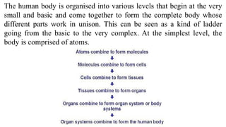 Human Biology - Introduction to human biology | PPTX