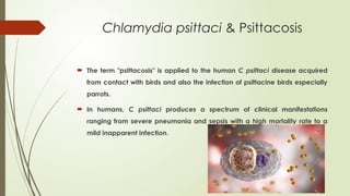 Chlamydia psittaci & Psittacosis
 The term "psittacosis" is applied to the human C psittaci disease acquired
from contact with birds and also the infection of psittacine birds especially
parrots.
 In humans, C psittaci produces a spectrum of clinical manifestations
ranging from severe pneumonia and sepsis with a high mortality rate to a
mild inapparent infection.
 