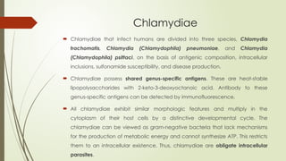 Chlamydiae
 Chlamydiae that infect humans are divided into three species, Chlamydia
trachomatis, Chlamydia (Chlamydophila) pneumoniae, and Chlamydia
(Chlamydophila) psittaci, on the basis of antigenic composition, intracellular
inclusions, sulfonamide susceptibility, and disease production.
 Chlamydiae possess shared genus-specific antigens. These are heat-stable
lipopolysaccharides with 2-keto-3-deoxyoctanoic acid. Antibody to these
genus-specific antigens can be detected by immunofluorescence.
 All chlamydiae exhibit similar morphologic features and multiply in the
cytoplasm of their host cells by a distinctive developmental cycle. The
chlamydiae can be viewed as gram-negative bacteria that lack mechanisms
for the production of metabolic energy and cannot synthesize ATP. This restricts
them to an intracellular existence. Thus, chlamydiae are obligate intracellular
parasites.
 