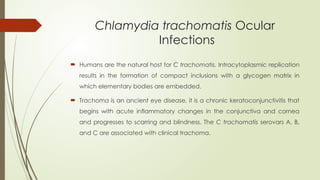 Chlamydia trachomatis Ocular
Infections
 Humans are the natural host for C trachomatis. Intracytoplasmic replication
results in the formation of compact inclusions with a glycogen matrix in
which elementary bodies are embedded.
 Trachoma is an ancient eye disease, it is a chronic keratoconjunctivitis that
begins with acute inflammatory changes in the conjunctiva and cornea
and progresses to scarring and blindness. The C trachomatis serovars A, B,
and C are associated with clinical trachoma.
 