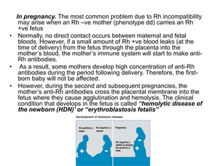 In pregnancy. The most common problem due to Rh incompatibility
may arise when an Rh –ve mother (phenotype dd) carries an Rh
+ve fetus
• Normally, no direct contact occurs between maternal and fetal
bloods. However, if a small amount of Rh +ve blood leaks (at the
time of delivery) from the fetus through the placenta into the
mother’s blood, the mother’s immune system will start to make anti-
Rh antibodies.
• As a result, some mothers develop high concentration of anti-Rh
antibodies during the period following delivery. Therefore, the first-
born baby will not be affected.
• However, during the second and subsequent pregnancies, the
mother’s anti-Rh antibodies cross the placental membrane into the
fetus where they cause agglutination and hemolysis. The clinical
condition that develops in the fetus is called “hemolytic disease of
the newborn (HDN)’ or “erythroblastosis fetalis”
 