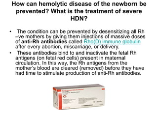 How can hemolytic disease of the newborn be
prevented? What is the treatment of severe
HDN?
• The condition can be prevented by desensitizing all Rh
–ve mothers by giving them injections of massive doses
of anti-Rh antibodies called Rho(D) immune globulin
after every abortion, miscarriage, or delivery.
• These antibodies bind to and inactivate the fetal Rh
antigens (on fetal red cells) present in maternal
circulation. In this way, the Rh antigens from the
mother’s blood are cleared (removed) before they have
had time to stimulate production of anti-Rh antibodies.
 