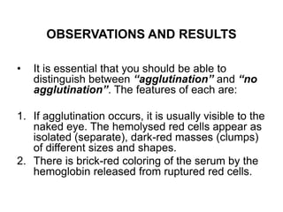 OBSERVATIONS AND RESULTS
• It is essential that you should be able to
distinguish between “agglutination” and “no
agglutination”. The features of each are:
1. If agglutination occurs, it is usually visible to the
naked eye. The hemolysed red cells appear as
isolated (separate), dark-red masses (clumps)
of different sizes and shapes.
2. There is brick-red coloring of the serum by the
hemoglobin released from ruptured red cells.
 