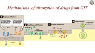 Pharmacokinetics | PPT