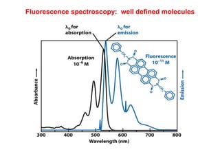 Fluorescence spectroscopy: well defined molecules
 