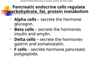 pathophysiology of Endocrine system in detail | PPT