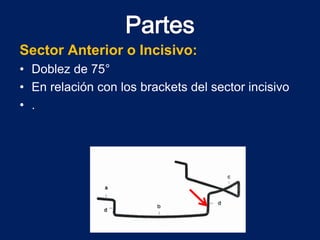 Sector Anterior o Incisivo:
• Doblez de 75°
• En relación con los brackets del sector incisivo
• .
 
