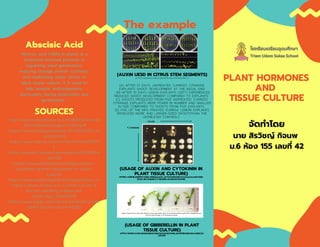 PLANT HORMONES
AND
TISSUE CULTURE
Abscisic Acid
Abscisic acid (ABA) in plants is a
terpenoid involved primarily in
regulating seed germination,
inducing storage protein synthesis
and modulating water stress. In
plant tissue culture, it is used to
help somatic embryogenesis,
particularly during maturation and
germination.
The example
(A) AFTER 15 DAYS, UNTREATED ‘CARRIZO’ CITRANGE
EXPLANTS SHOOT DEVELOPMENT AT THE BASAL END
. (B) AFTER 15 DAYS LEMON EXPLANTS (LEFT) EXPERIENCED
REDUCED SHOOT DEVELOPMENT COMPARED TO EXPLANTS
(C) SHOOTS PRODUCED FROM FIVE UNTREATED ‘CARRIZO’
CITRANGE EXPLANTS WERE FEWER IN NUMBER AND SMALLER
IN SIZE COMPARED TO SHOOTS FROM FIVE EXPLANTS
(D) FIVE OF THE NPA-TREATED ‘EUREKA’ LEMON EXPLANTS
PRODUCED MORE AND LARGER-SIZED SHOOTSTHAN THE
UNTREATED CONTROLS
(AUXIN UESD IN CITRUS STEM SEGMENTS)
HTTPS://WWW.NATURE.COM/ARTICLES/HORTRES201771
(USAGE OF AUXIN AND CYTOKININ IN
PLANT TISSUE CULTURE)
HTTPS://3.BP.BLOGSPOT.COM/-8G8UUAAZA_Q/TXZVISW42PI/AAAAAAAAAFU/3DK
9UXP_5FC/S1600/CYTOKININ-AUXIN+RATIO.PNG
(USAGE OF GIBBERELLIN IN PLANT
TISSUE CULTURE)
HTTP://WWW.AVOCADOSOURCE.COM/WAC8/SECTION_02/HITIBANDARALAGEJCA2
015.PDF
จัดทําโดย
นาย สิรวิชญ์ กิจนพ
ม.6 ห้อง 155 เลขที 42
SOURCES
http://www.avocadosource.com/WAC8/Section
_02/HitiBandaralageJCA2015.pdf
https://www.biologyexams4u.com/2012/01/cyt
okinins.html
https://www.nature.com/articles/hortres20177
1
https://passel2.unl.edu/view/lesson/a2f44b5b9
a27/10
https://www.plantcelltechnology.com/pct-
blog/plant-growth-regulators-in-tissue-
culture/
https://www.researchgate.net/figure/Steps-in-
Tissue-Culture-Protocol-1-a-Initial-cut-on-4-
day-old-seedling-b-Bisected-
shoot_fig3_331410970
https://www.toppr.com/ask/content/story/amp
/plant-tissue-culture-61581/
 