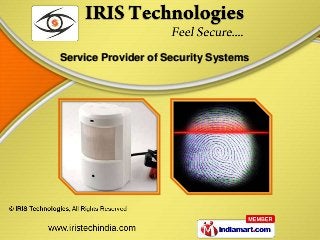 Service Provider of Security Systems
 