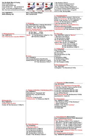 2 600 194 ONLINE LESSEN visual data 3