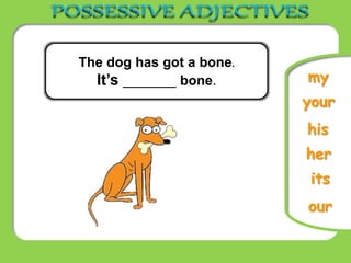 our
The dog has got a bone.
It’s _______ bone.
its
his
her
my
your
 