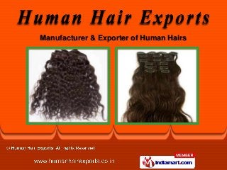 Manufacturer & Exporter of Human Hairs
 