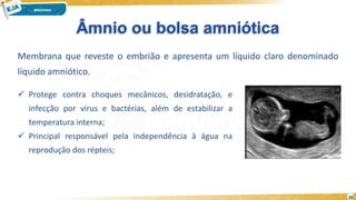 Âmnio ou bolsa amniótica
Membrana que reveste o embrião e apresenta um líquido claro denominado
líquido amniótico.
 Protege contra choques mecânicos, desidratação, e
infecção por vírus e bactérias, além de estabilizar a
temperatura interna;
 Principal responsável pela independência à água na
reprodução dos répteis;
16
 