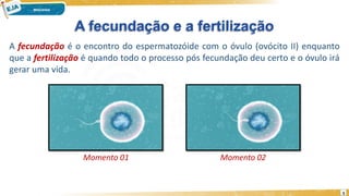A fecundação é o encontro do espermatozóide com o óvulo (ovócito II) enquanto
que a fertilização é quando todo o processo pós fecundação deu certo e o óvulo irá
gerar uma vida.
A fecundação e a fertilização
Momento 01 Momento 02
5
 