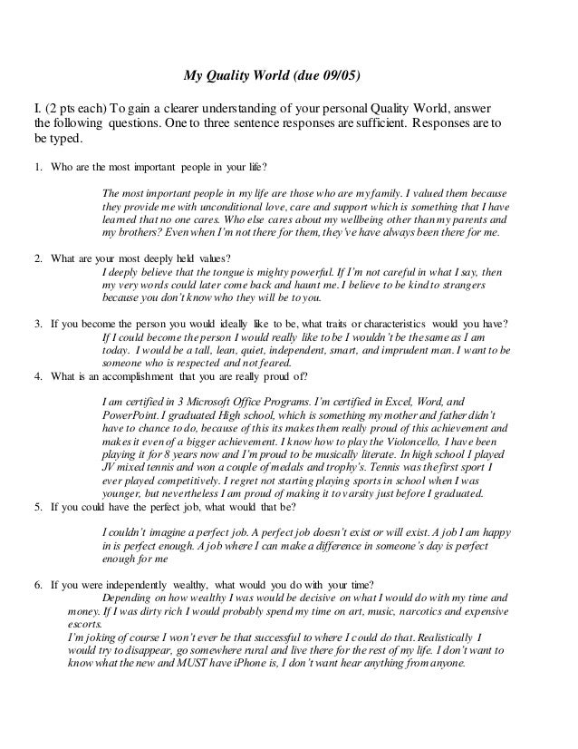 My perfect world essay image