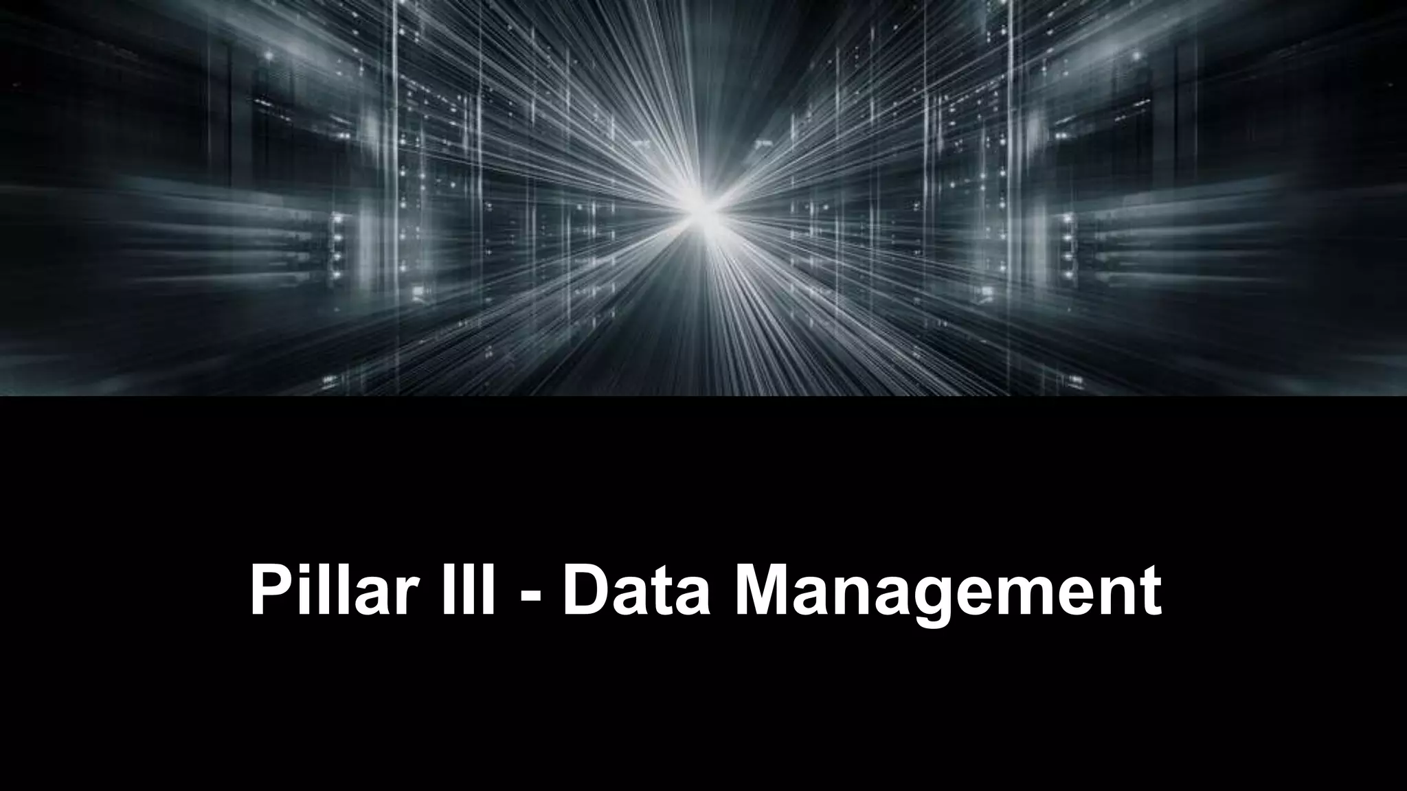 Pillar III - Data Management
 