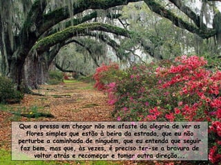 Que a pressa em chegar não me afaste da alegria de ver as
   flores simples que estão à beira da estrada, que eu não
perturbe a caminhada de ninguém, que eu entenda que seguir
 faz bem, mas que, às vezes, é preciso ter-se a bravura de
      voltar atrás e recomeçar e tomar outra direção...
 