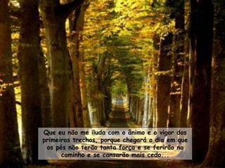 Que eu não me iluda com o ânimo e o vigor dos
primeiros trechos, porque chegará o dia em que
 os pés não terão tanta força e se ferirão no
      caminho e se cansarão mais cedo...
 