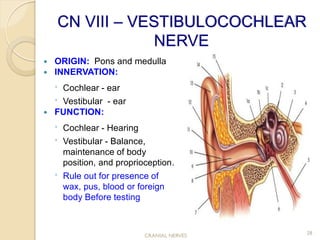 Cranial-nerves and their assignments ... | PDF