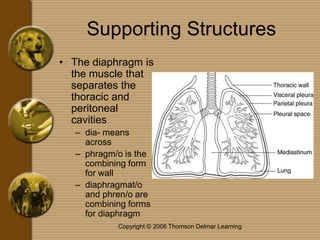 4236402.ppt