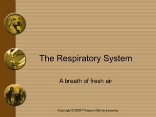 Copyright © 2006 Thomson Delmar Learning
The Respiratory System
A breath of fresh air
 