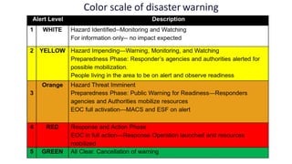 International disaster management | PDF