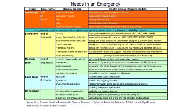 International disaster management
