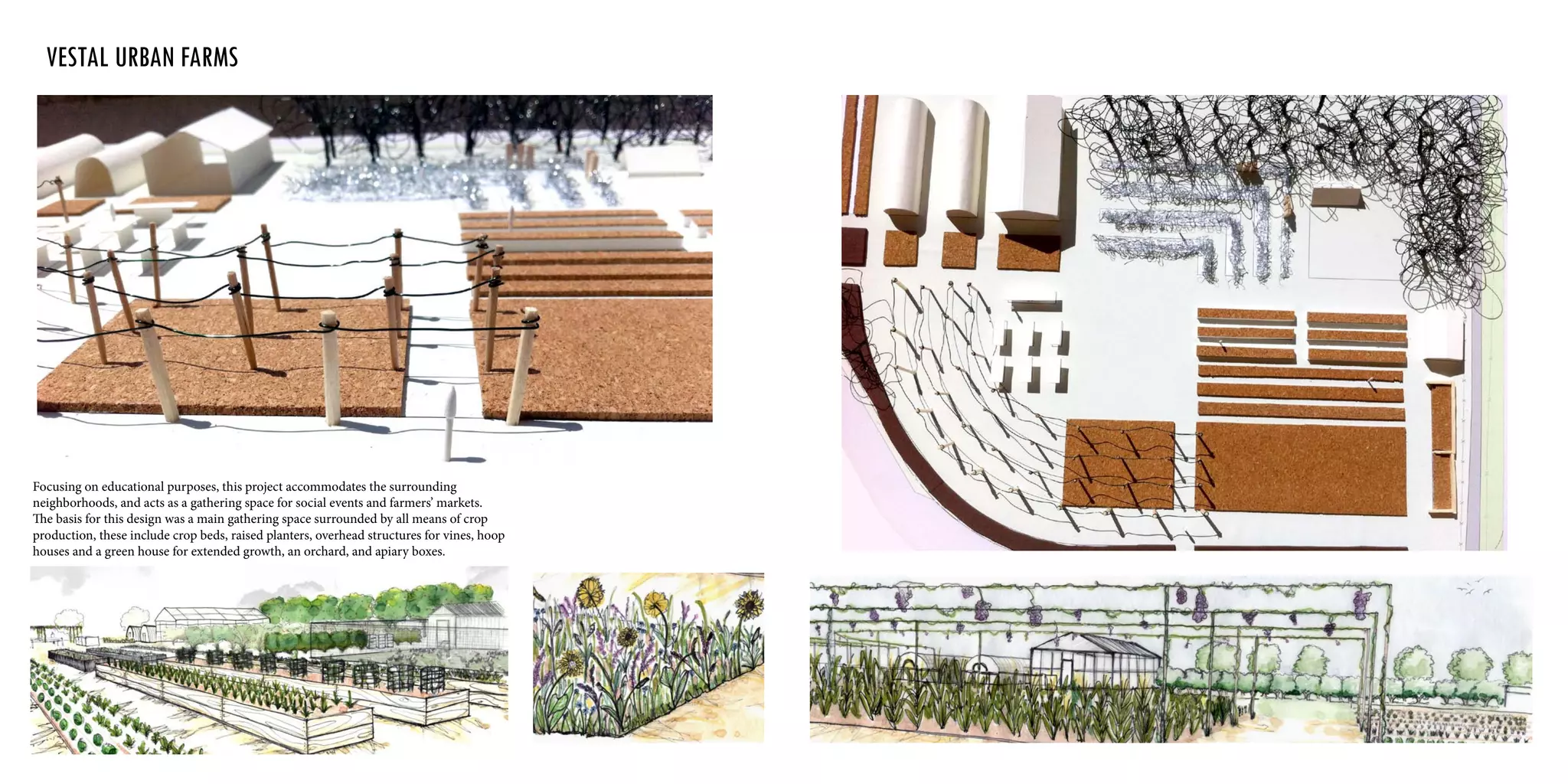 Focusing on educational purposes, this project accommodates the surrounding
neighborhoods, and acts as a gathering space for social events and farmers’ markets.
The basis for this design was a main gathering space surrounded by all means of crop
production, these include crop beds, raised planters, overhead structures for vines, hoop
houses and a green house for extended growth, an orchard, and apiary boxes.
vestal urban farms
 