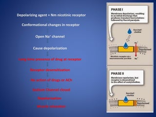 Skeletal_muscle_relaxants_1_ | PPTX