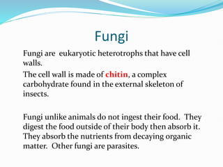 Fungi
Fungi are eukaryotic heterotrophs that have cell
walls.
The cell wall is made of chitin, a complex
carbohydrate found in the external skeleton of
insects.
Fungi unlike animals do not ingest their food. They
digest the food outside of their body then absorb it.
They absorb the nutrients from decaying organic
matter. Other fungi are parasites.
 