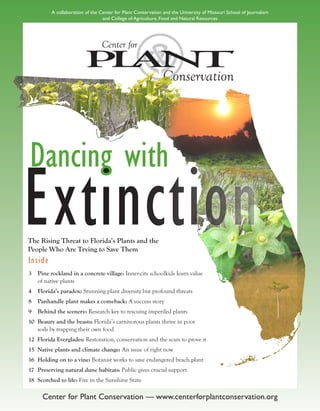 Center for Plant Conservation — www.centerforplantconservation.org
A collaboration of the Center for Plant Conservation and the University of Missouri School of Journalism
and College of Agriculture, Food and Natural Resources
Extinction
Dancing with
The Rising Threat to Florida’s Plants and the
People Who Are Trying to Save Them
Inside
3	 Pine rockland in a concrete village: Inner-city schoolkids learn value
of native plants
4	 Florida’s paradox: Stunning plant diversity but profound threats
8	 Panhandle plant makes a comeback: A success story
9	 Behind the scenery: Research key to rescuing imperiled plants
10	 Beauty and the beasts: Florida’s carnivorous plants thrive in poor
soils by trapping their own food
12 Florida Everglades: Restoration, conservation and the scars to prove it
15 Native plants and climate change: An issue of right now
16	 Holding on to a vine: Botanist works to save endangered beach plant
17	 Preserving natural dune habitats: Public gives crucial support
18	 Scorched to life: Fire in the Sunshine State
 
