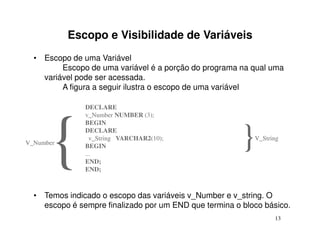 Escopo e Visibilidade de Variáveis
  • Escopo de uma Variável
         Escopo de uma variável é a porção do programa na qual uma
    variável pode ser acessada.
         A figura a seguir ilustra o escopo de uma variável

               DECLARE
               v_Number NUMBER (3);




      {
               BEGIN


V_Number
               DECLARE
                 v_String VARCHAR2(10);
               BEGIN
               ...
                                                        }  V_String


               END;
               END;



  • Temos indicado o escopo das variáveis v_Number e v_string. O
    escopo é sempre finalizado por um END que termina o bloco básico.
                                                                 13
 